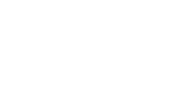 Palacio Miller Agency - Logo 800 White